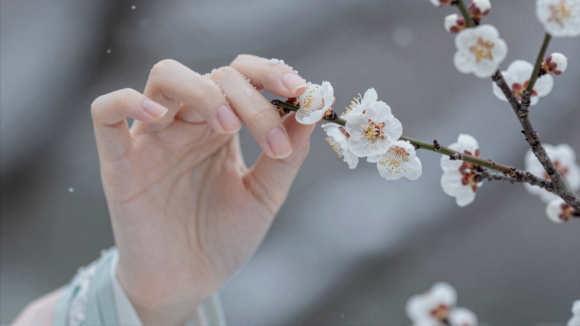 雪梅归分镜4